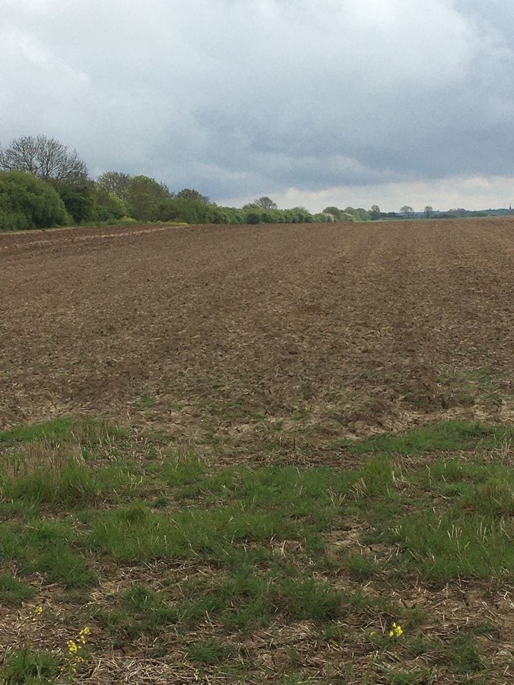 North Open Corner Extra Land Facing Park at Reasonable price — 1 / 1