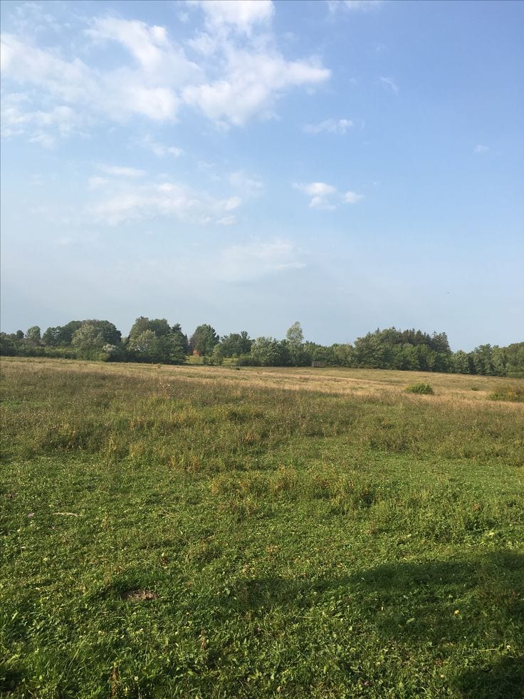 5.25 Marla Residential Plot For Sale In Buksh Avenue — 1 / 1