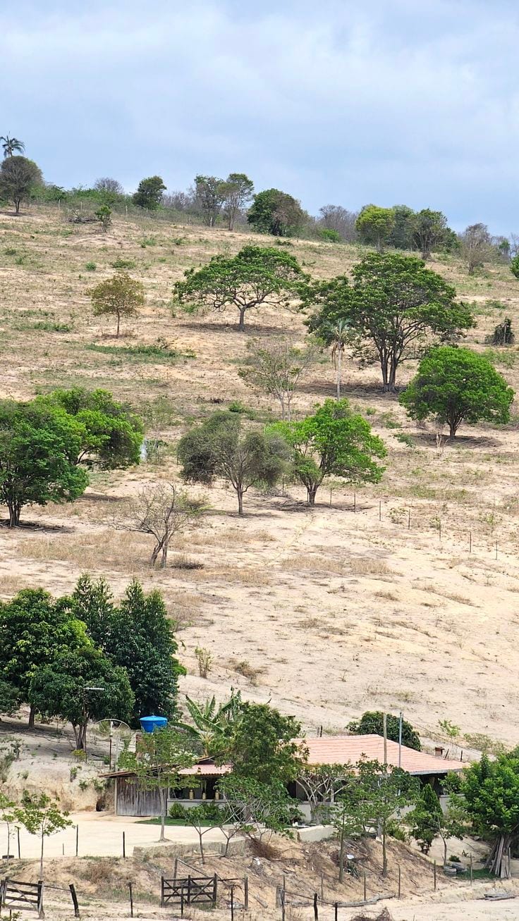 Prime Location 5 Marla Residential Plot For Sale In Citi Housing - Block G — 1 / 1