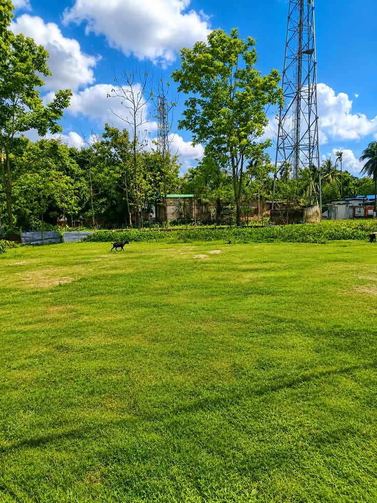 Corner 6 Marla Spacious Residential Plot Is Available In Royal Orchard - Block F For sale — 1 / 1