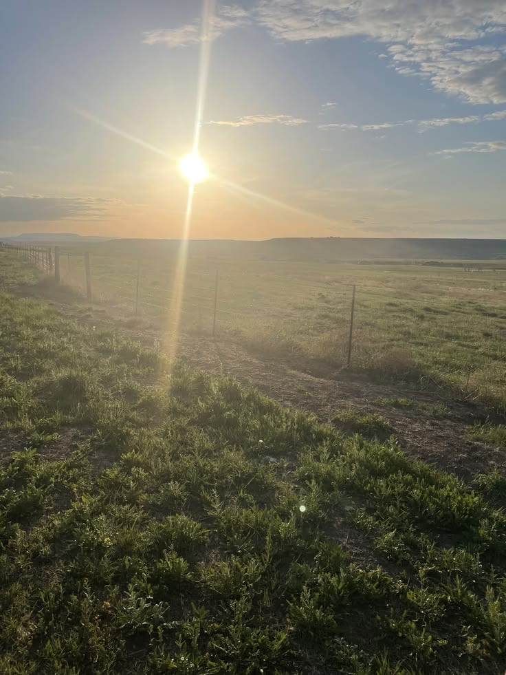 7 Marla All Dues Paid Possession Area Plot Near Park — 1 / 1