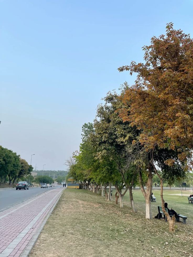 10 Marla Residential Plot For Sale In Islamabad — 1 / 1