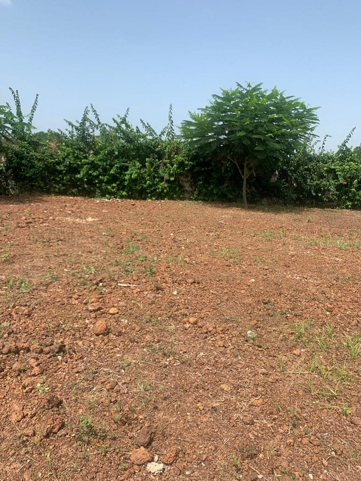 1 Kanal plot available in Sector B — 1 / 1