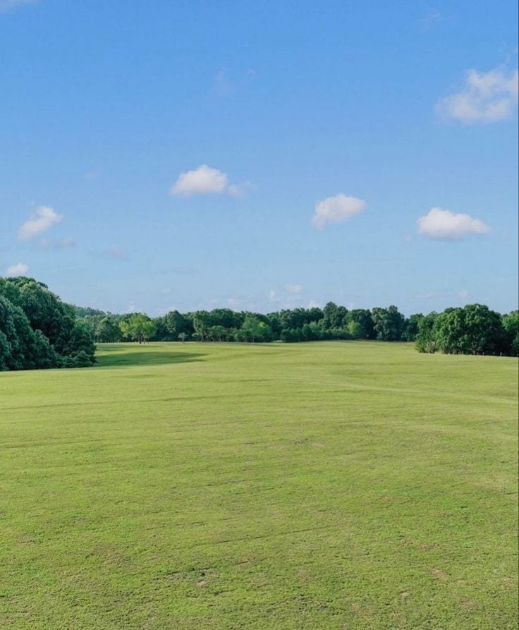 3 Kanal Industrial Plot For Sale — 1 / 1