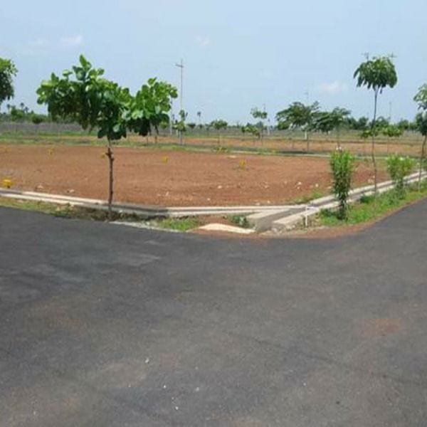 Prime Location 20 Marla Residential Plot Is Available For sale — 1 / 1