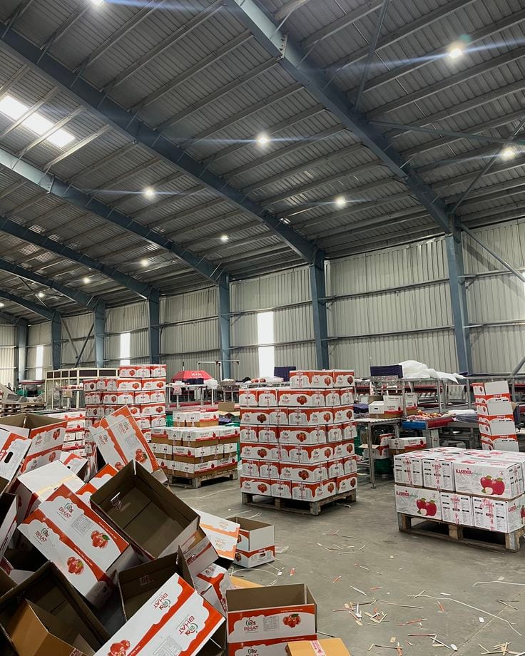 WAREHOUSE FOR SALE WITH RENTAL INCOME — 1 / 1