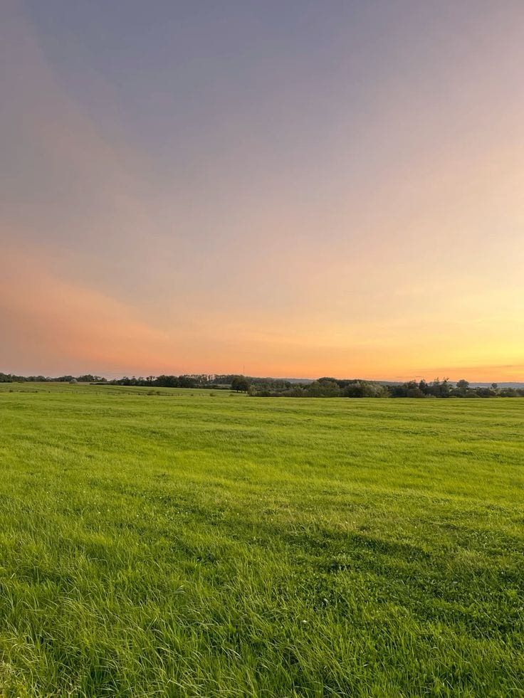 Prime Location Plot Is Available — 1 / 1