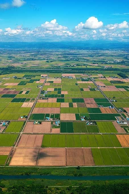 Prime Location Plot For Sale In Sector B — 1 / 1