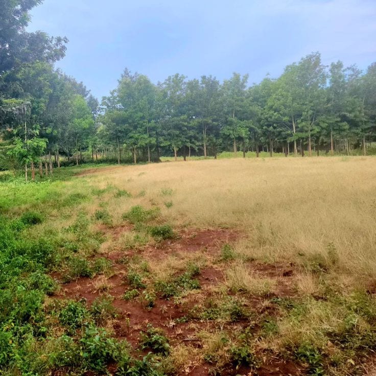 10 Marla Residential Plot In DHA Defence For sale At Good Location — 1 / 1