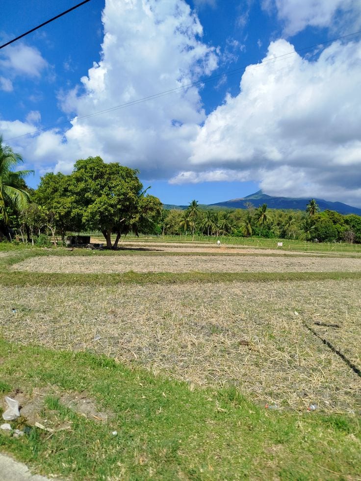 5 Marle Corner Plot Available For Sale — 1 / 1