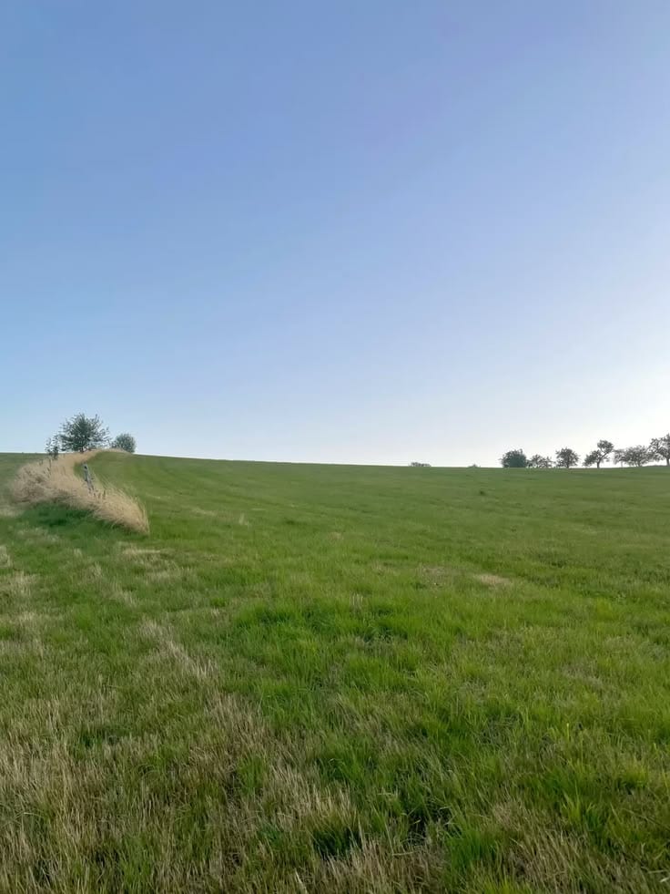 Reserve A Centrally Located Residential Plot In Citi Housing Phase 2 — 1 / 1