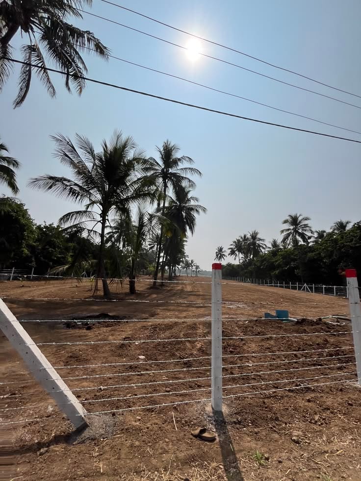5 Marla Plots Just In 9 Lac — 1 / 1