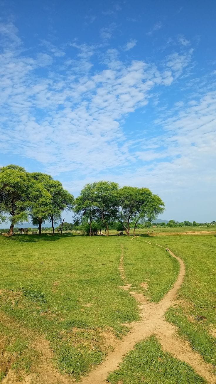 Looking For A Prime Location Residential Plot In DHA Phase 1 - Sector B1 — 1 / 1