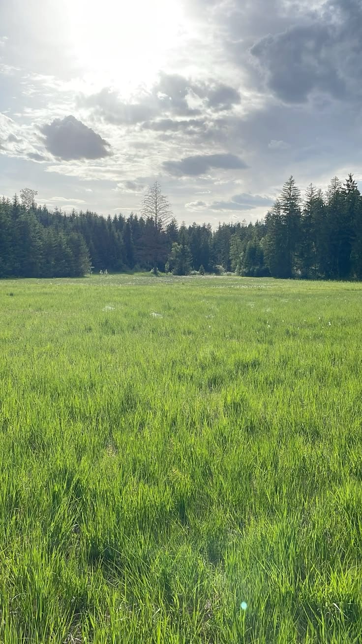 Prime Location Citi Housing Phase 2 Residential Plot Sized 10 Marla For Sale — 1 / 1