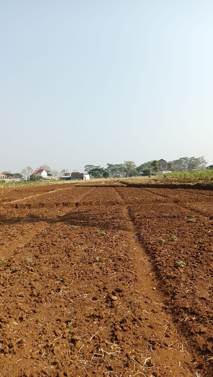 A Stunning Residential Plot Is Up For Grabs In Royal Orchard - Block D Multan — 1 / 1