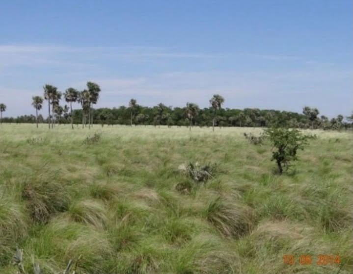 Sector B1 10 Marla 80ft Road Facing ZerobDC Residential Plot Near To Park, Masjid And Commercial. — 1 / 1
