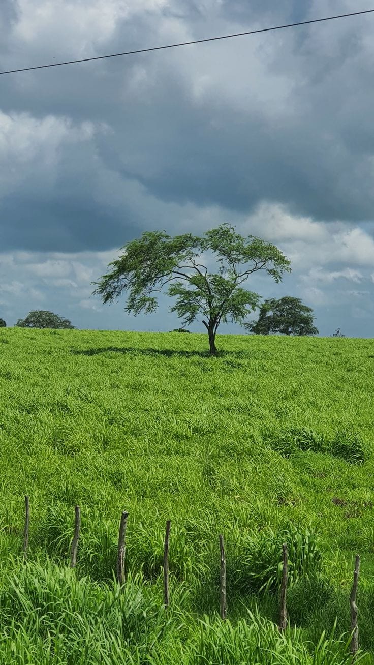 Prime Location Residential Plot For sale In Multan — 1 / 1