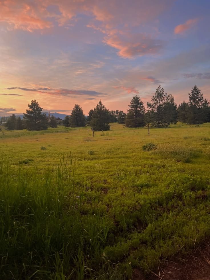 Prime Location Plot Is Available — 1 / 1