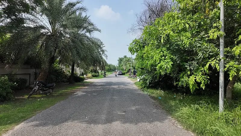 1.65 Crore 6.5 Marla Plot Block D Phase 9 Town — 1 / 1