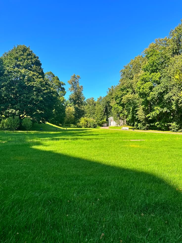 A 3 Marla Residential Plot Is Up For Grabs In Southern Bypass — 1 / 1