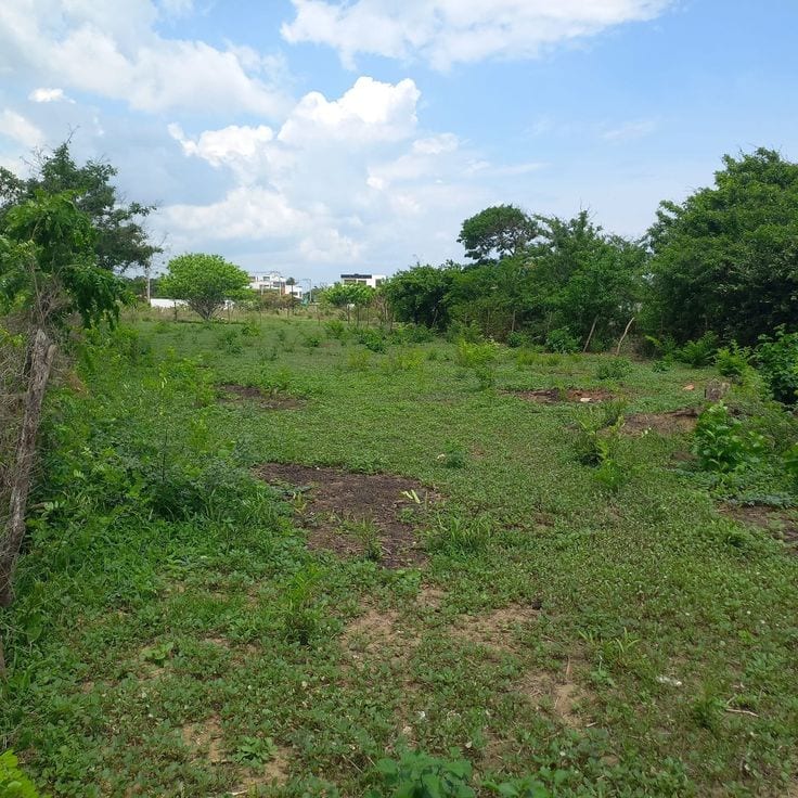 Possession Plot Available Near Masjid And Park — 1 / 1