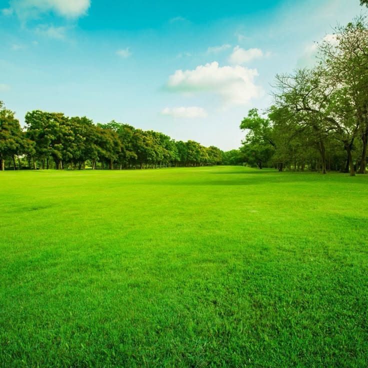 10 Marla Premium Park-Facing Plot For Sale — 1 / 1