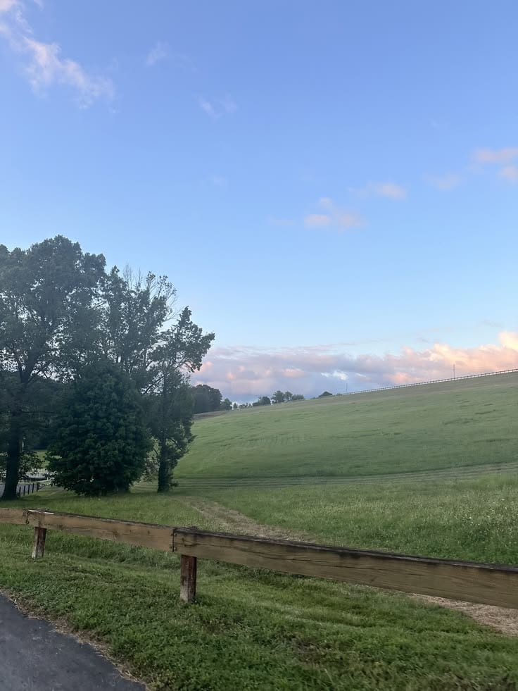 20 Marla Residential Plot In Royal Orchard - Executive Block Is Available For sale — 1 / 1