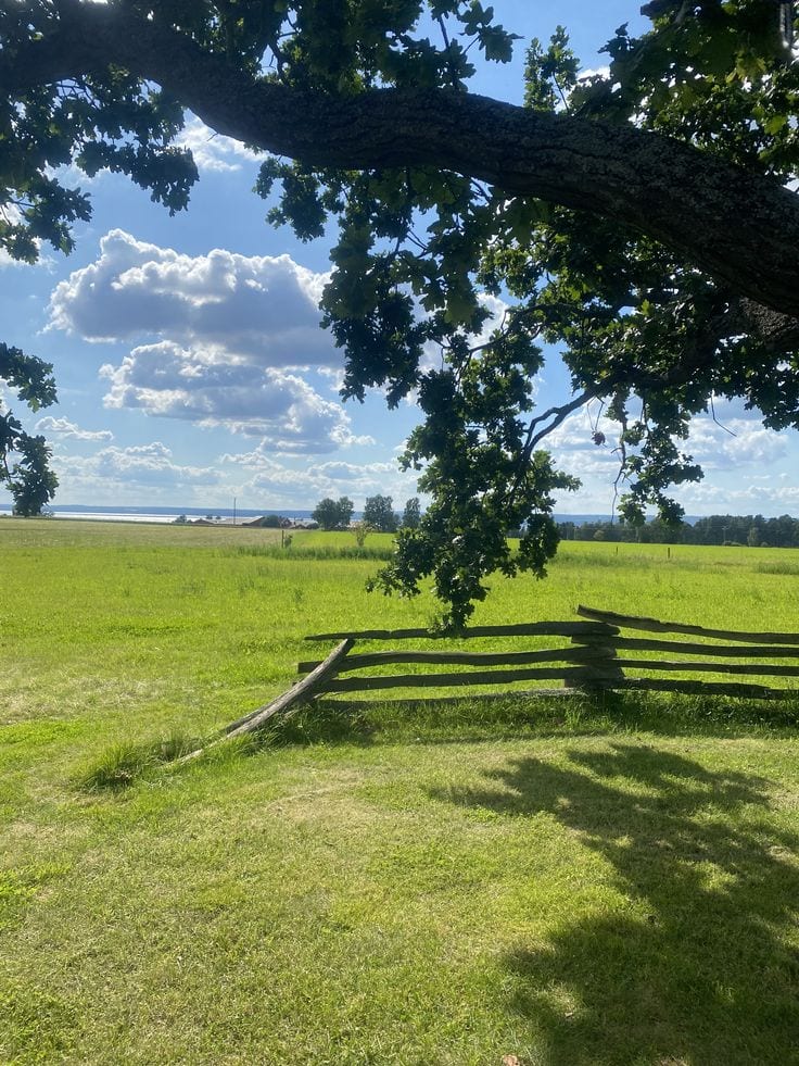 Block B 5 Marle Plot For Sale — 1 / 1