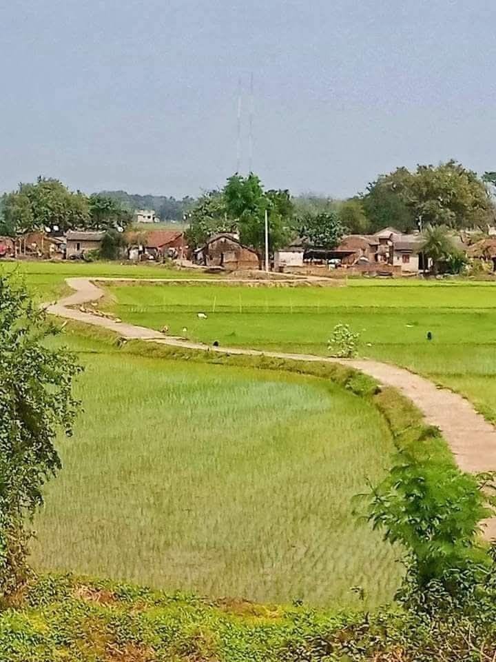 Get A 5 Marla Residential Plot For Sale In Royal Orchard - Block F — 1 / 1