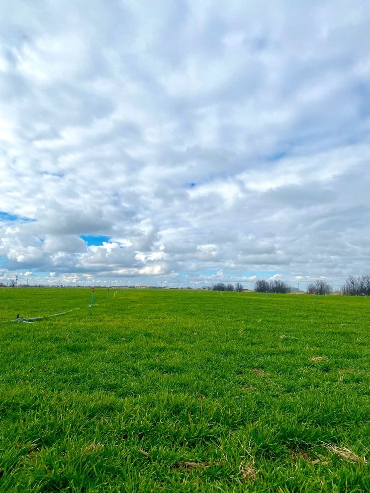 1 Kanal Residential Plot For Sale In Dream Gardens Multan Phase 2 Bosan Road — 1 / 1