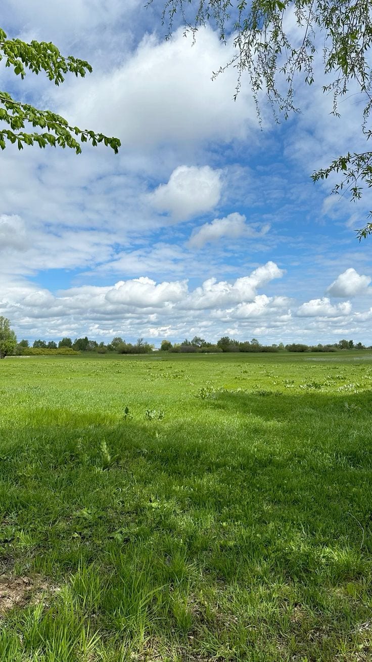 7 Marla Plot For Sale With Multiple Category'S Best Location — 1 / 1