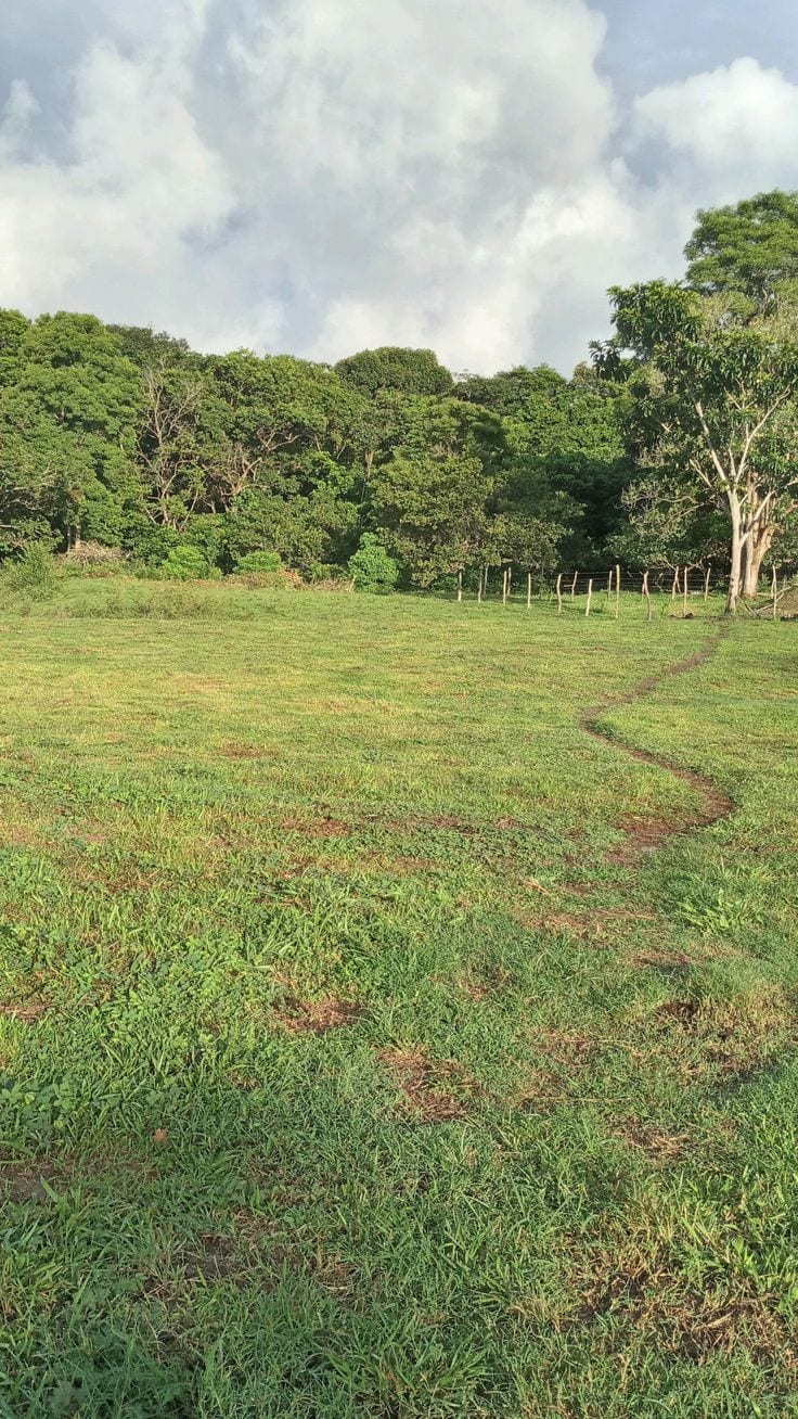 5 Marla Residential Plot For Sale In Citi Housing Phase 2 Multan — 1 / 1