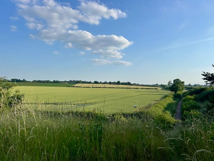Looking For A Residential Plot In Bukhari Villas Phase 2 — 1 / 1