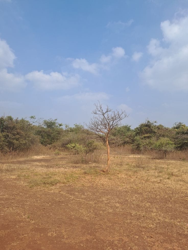 05 Marla Plot Available For sale in Citi housing Multan — 1 / 1