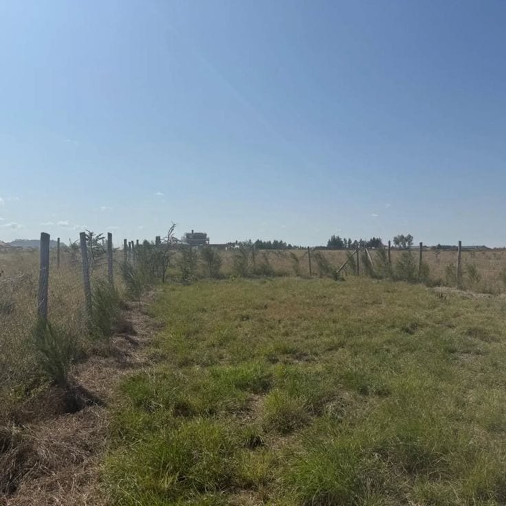 Residential Plot For Grabs In 10 Marla Multan — 1 / 1
