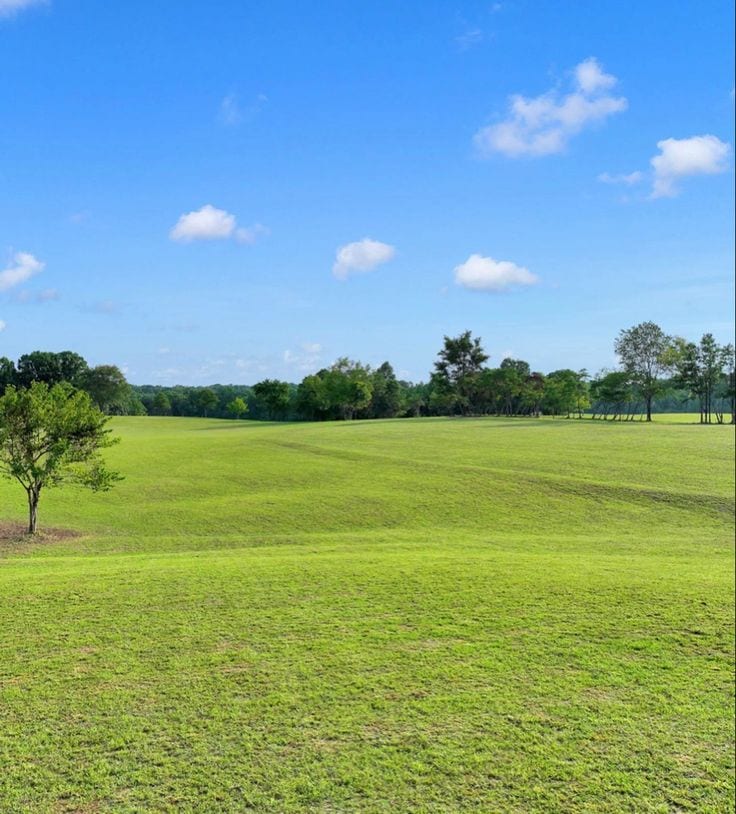Best Options For Prime Location Residential Plot Is Available For Sale In Citi Housing - Block F — 1 / 1