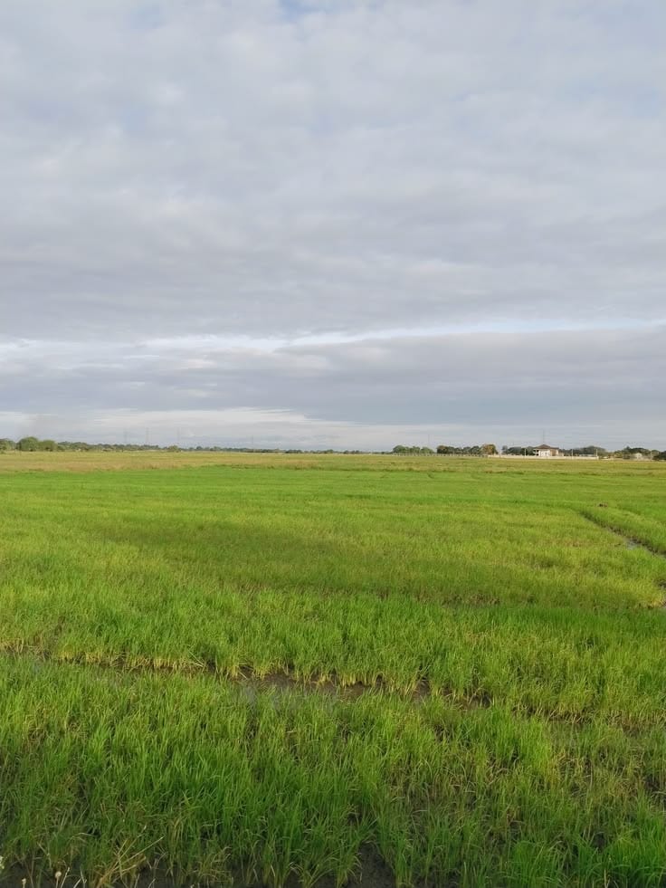 5 Marla Residential Plot For Sale In Citi Housing Phase 1 Multan — 1 / 1