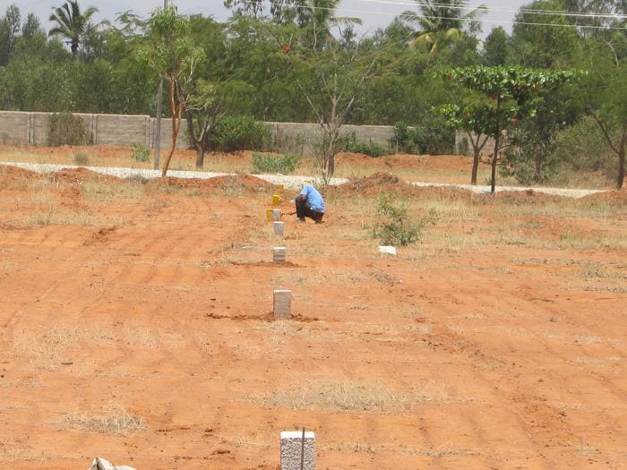 DHA BAHAWALPUR Main Boulevard plot — 1 / 1