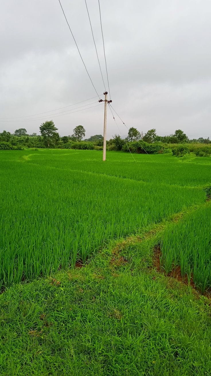 MDA Approved 7 Marla Possession Residential Plot For Sale IN Easy Installment In Draem Garden — 1 / 1