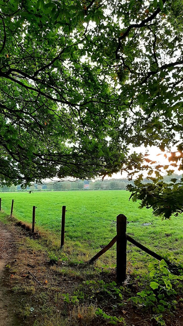 Prime Location Plot Available For Sale — 1 / 1