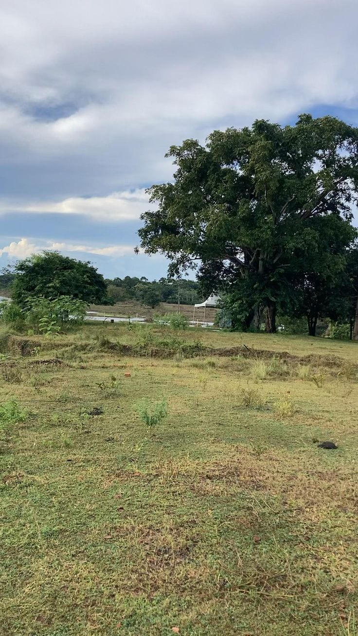 Prime Location Wapda Town Phase 1 - Block B Residential Plot For Sale Sized 20 Marla — 1 / 1