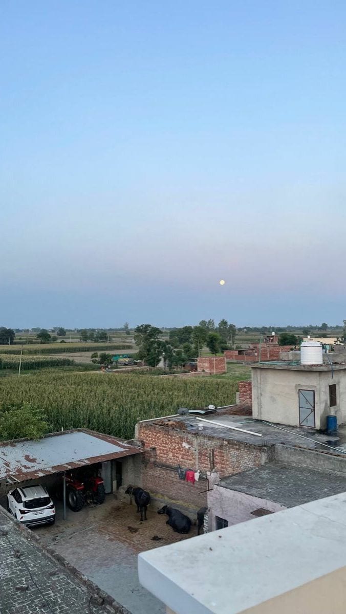 ouse 54735126 Back to Search Your Dream Lahore Organic Farms Awaits 02-Kanal & 03-Marla Farm House Land For Sale — 1 / 1