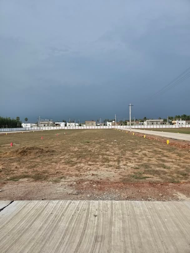 6 Kanal Land Fully Developed Plot in Nazeer Farms — 1 / 1