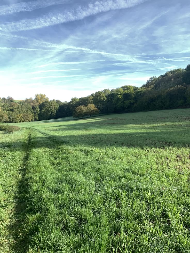 Book Prime Location Residential Plot Today In Citi Housing Phase 2 — 1 / 1