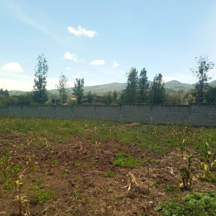 10 MARLA PLOT AVAILABLE FOR SALE — 1 / 1