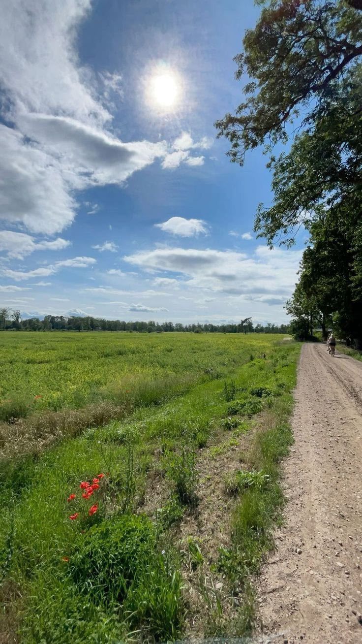 Prime Location Available — 1 / 1