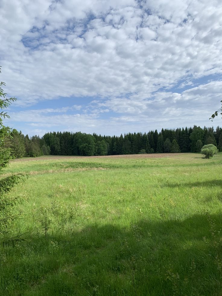 Prime Location 5 Marla Residential Plot For sale In Citi Housing — 1 / 1