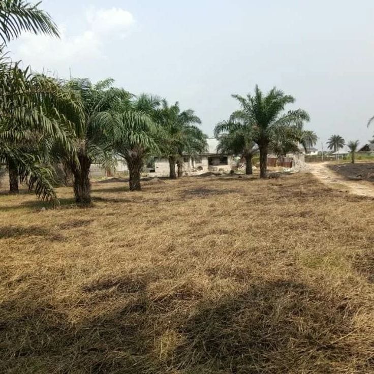 Ideal Residential Plot For Sale In DHA Phase 1 - Sector B1 — 1 / 1