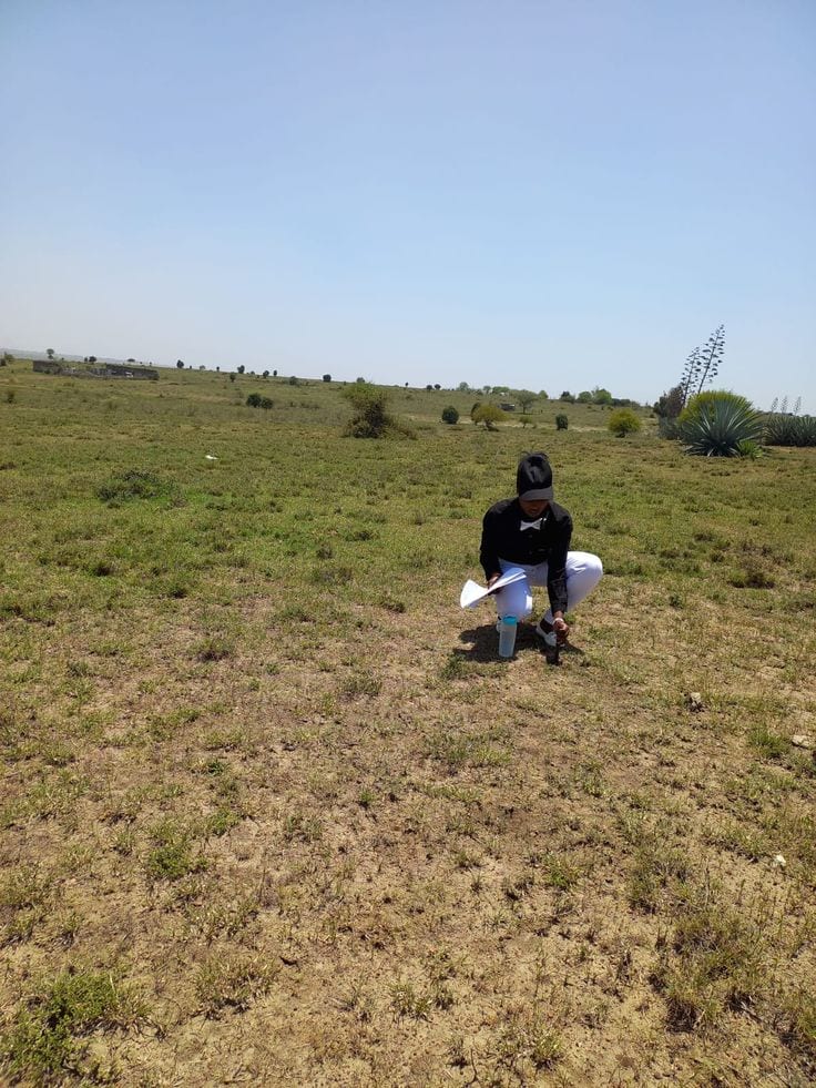 10 Marla Residential Plot Available For Sale In DHA Phase 1 - Sector B1, Multan — 1 / 1