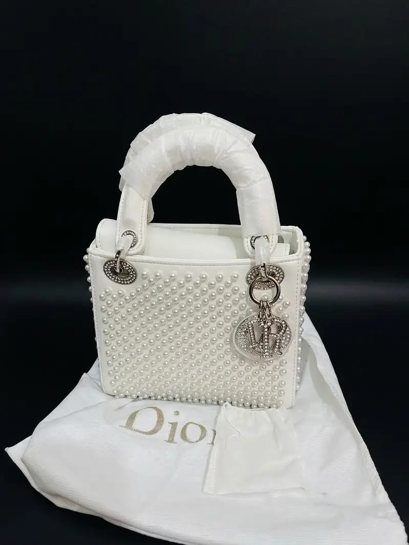 Dior bag — 1 / 1